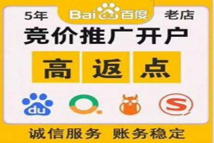 SEM广告投放优化案例研究